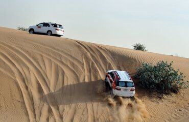 Desert Safari