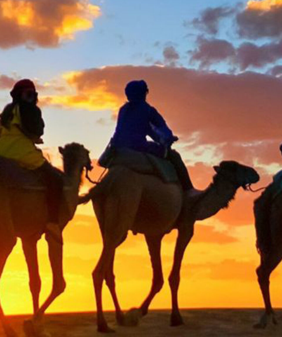 Camel Ride In Agadir